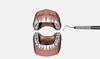Dental-Simulator-All-Teeth-.png