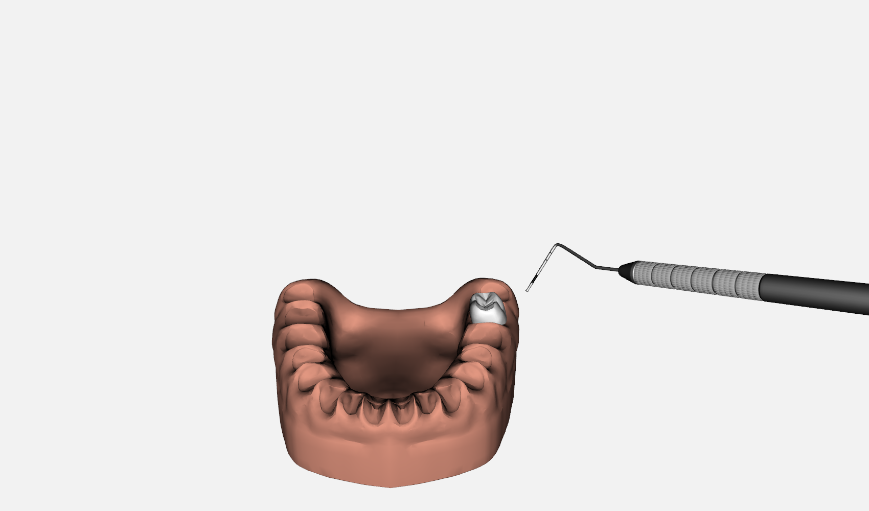 Dental-Simulator-Target-Tooth-.png