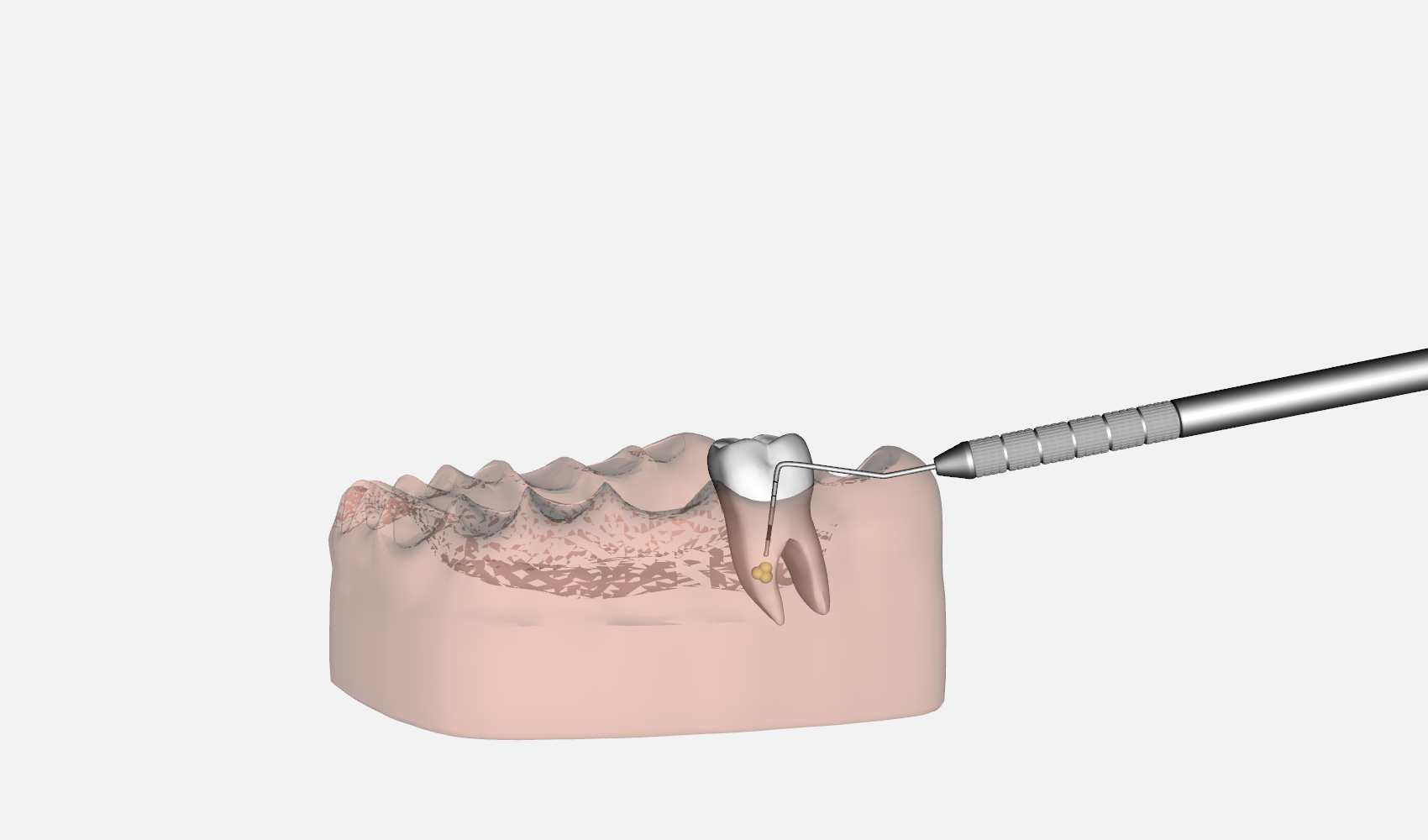 Dental-Simulator-Transparent-Mode-.png